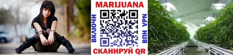 Шишки марихуана семена  МЕГА как войти  Белорецк 